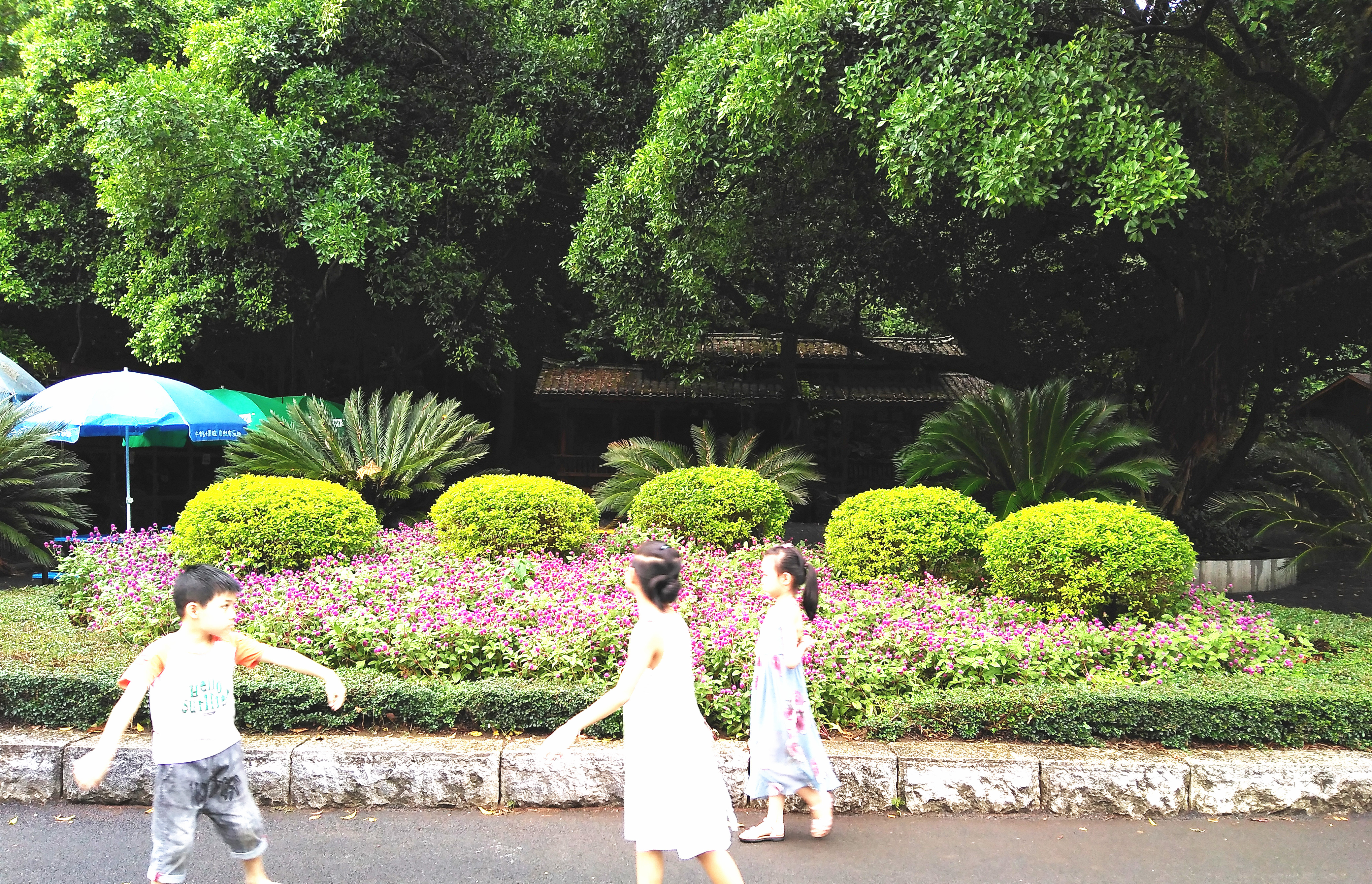 龙潭胜境蓬莱仙境,柳州冬天龙潭公园风景