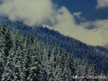 新疆的美丽地方,新新疆是个好地方