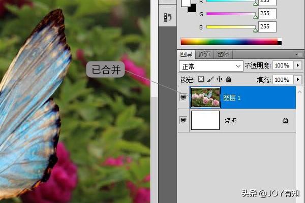 ps图层向下合并和图层合并的区别,photoshop图层与图层合并