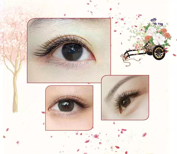 日式美睫如何嫁接,日式美睫和一般的美睫有什么区别