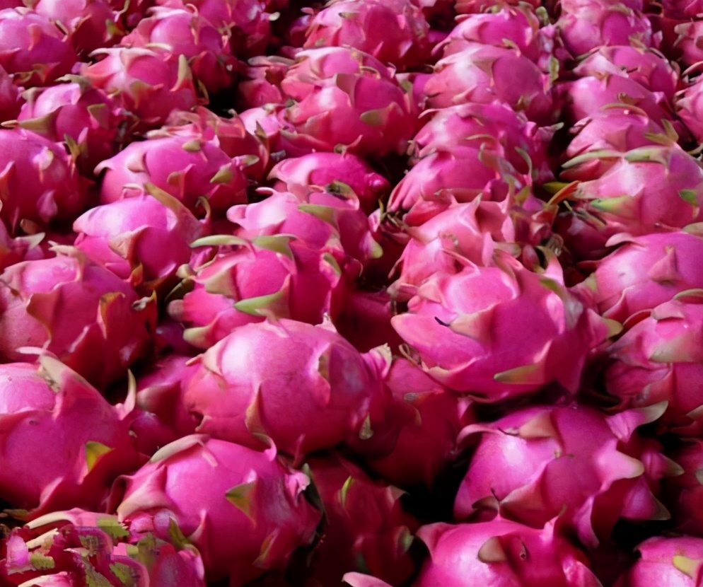 火龙果怎么买最甜,买火龙果买整颗的