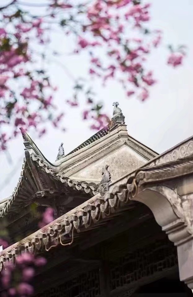 鍘熷垱鑸炶箞钀借姳,纰庡奖鍘熷垱