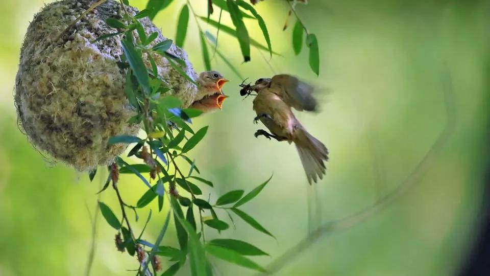 西安绝美打卡地,西安293公里网红打卡地