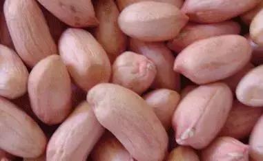 给孩子玩沙子好还是玩决明子好,带小孩去玩沙子