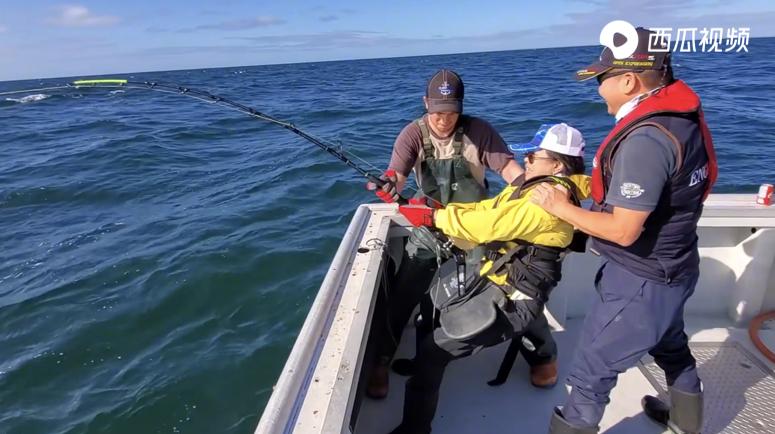 这4种鱼能让你变成百万富翁,钓到发财的鱼视频