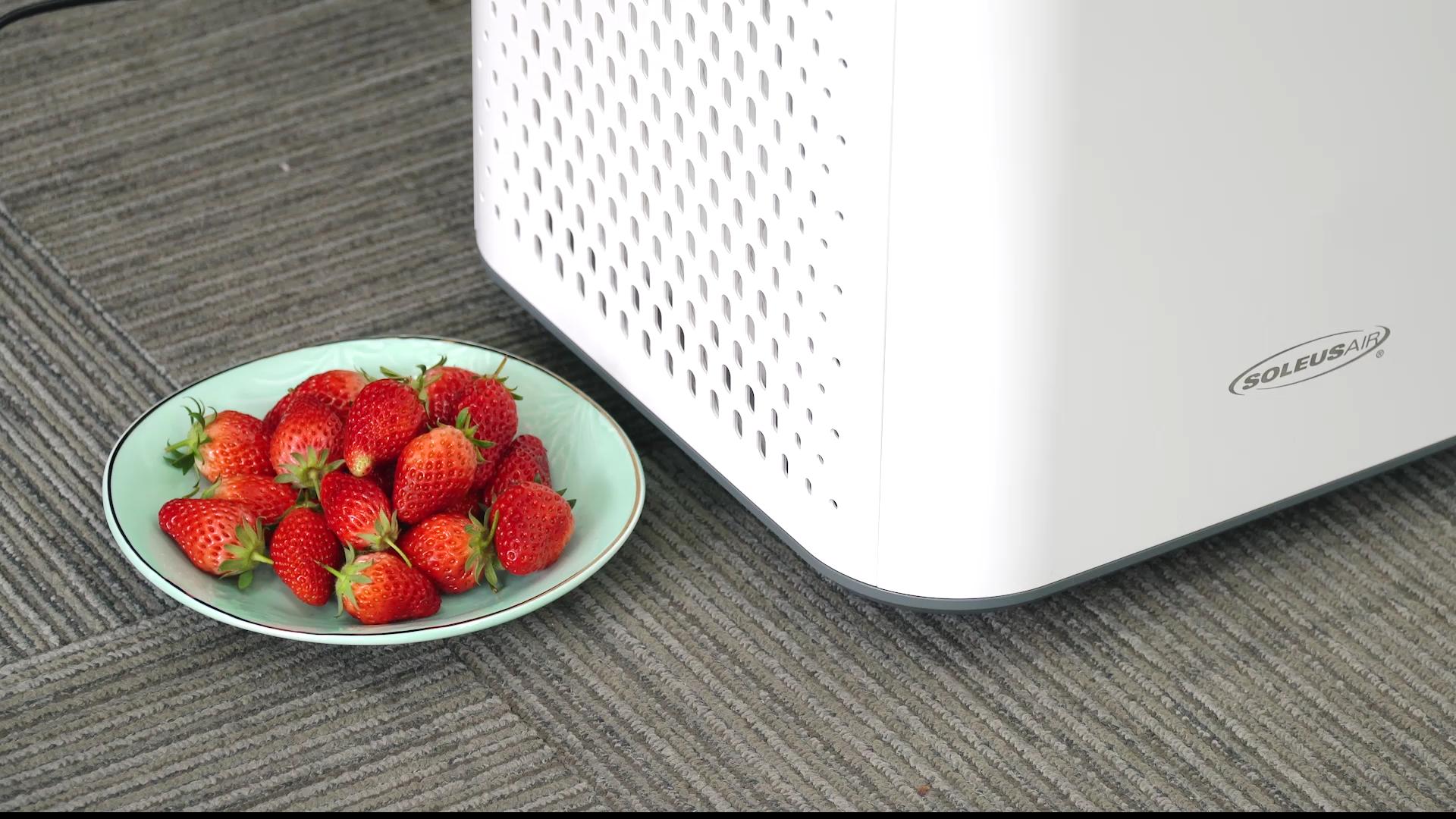 舒乐氏和泰拉蒙空气净化器哪个好,舒乐氏和泰拉蒙哪个空气净化器好