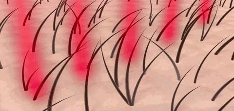 泰国生姜洗发水防脱发,泰国防脱发生姜洗发水