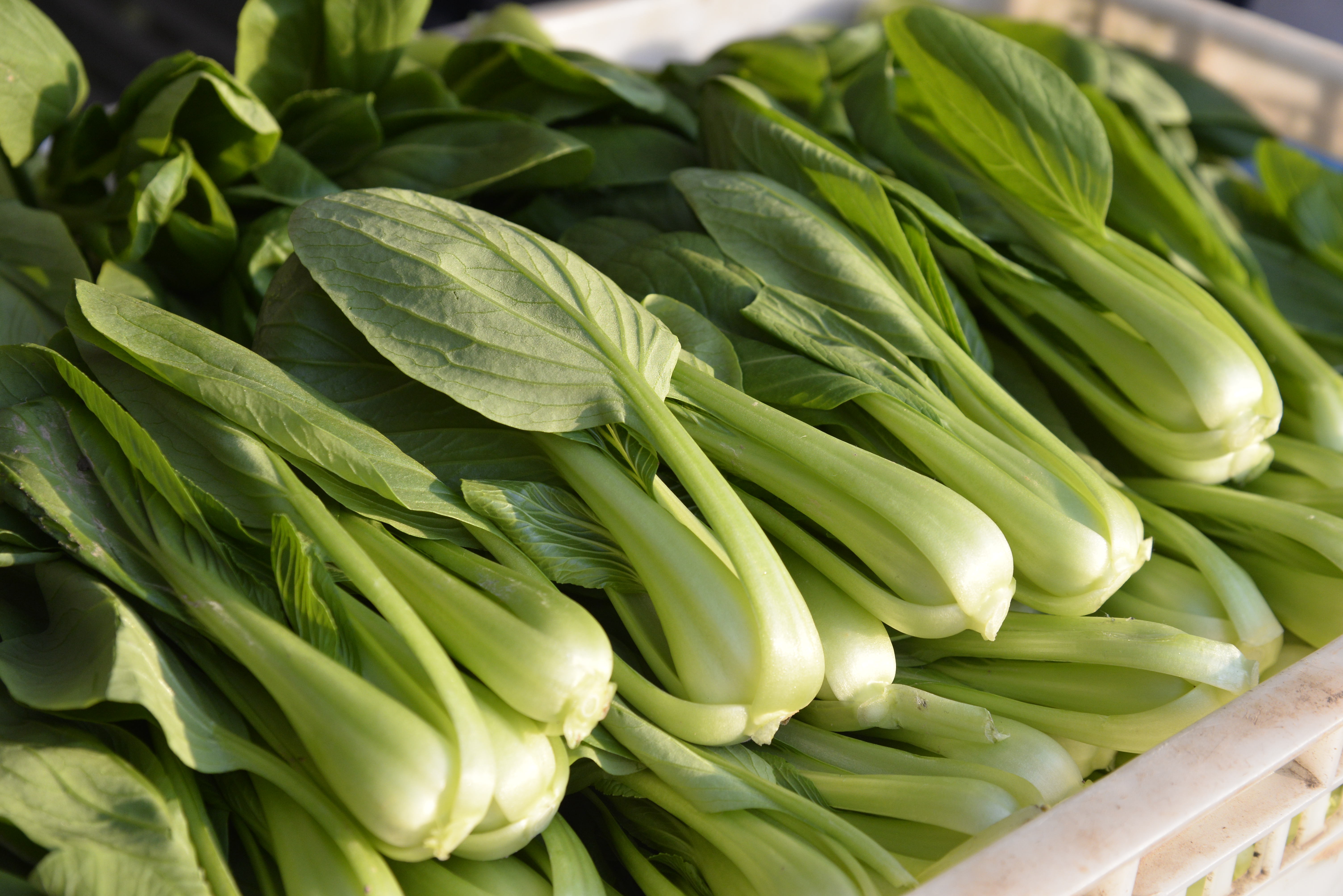 立足北京新发地，打通农产品产销供应链的80后小伙