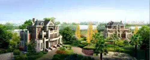 武汉最贵的食物,武汉最贵的特产