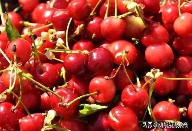 鐝嶇埍鐢熷懡杩滅涓嶈壇鍦堝瓙,鐝嶇埍鐢熷懡杩滅缃戠粶