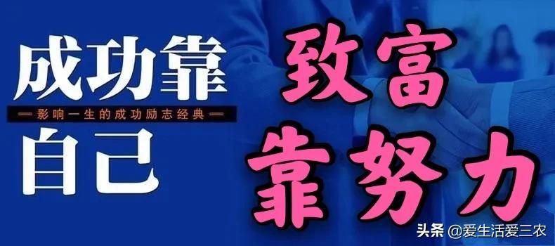 在农村做什么养殖业比较好,在农村适合做什么养殖业