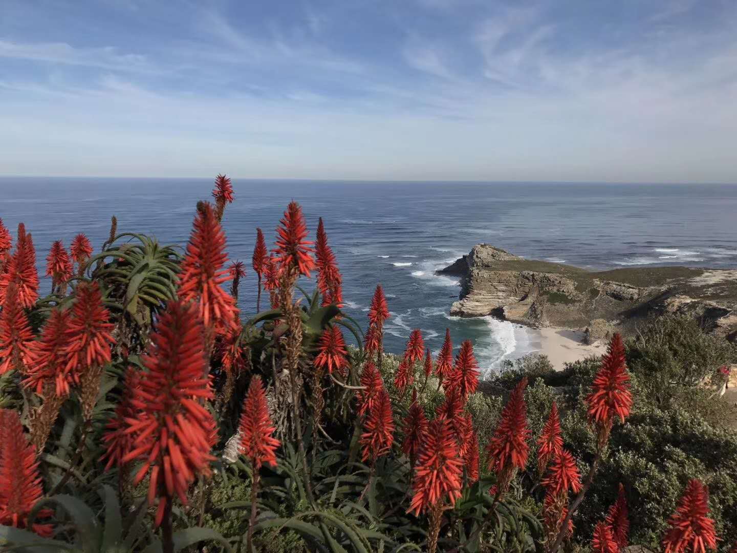 韩国芦荟胶真的好用吗,韩国芦荟胶真假对比图