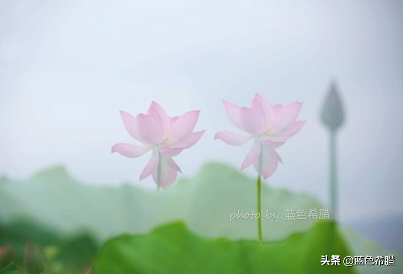 佳能5d370-200人像拍摄参数,佳能5d3拍出的照片带着详细参数