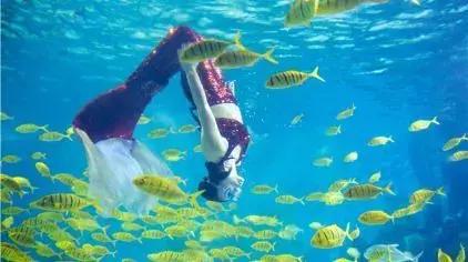 南京动物海洋馆,海洋动物主题公园