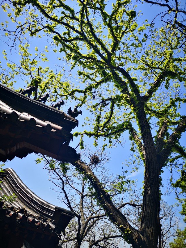 孙悟空的旅游胜地在什么地方,孙悟空的老家花果山水帘洞