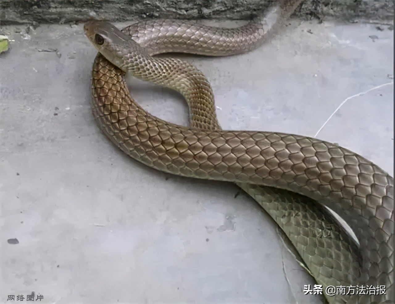 特别吓人的幼儿园,幼儿园里的神秘怪物