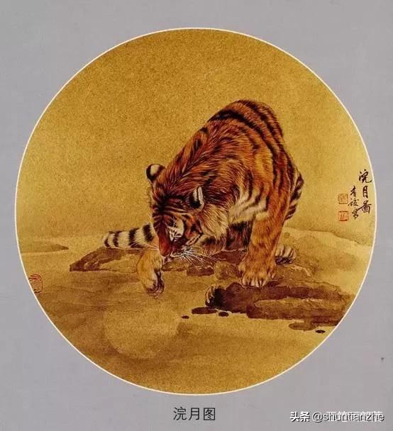 工笔老虎技法教学视频,工笔老虎胸毛的撕毛法