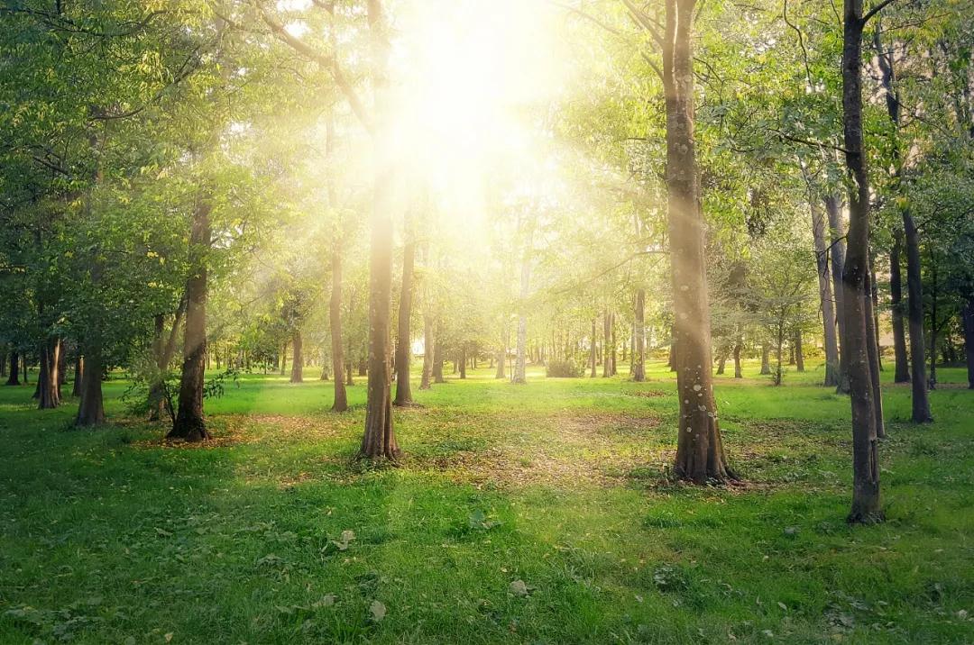 湖居生活的惬意,湖居生活的真谛