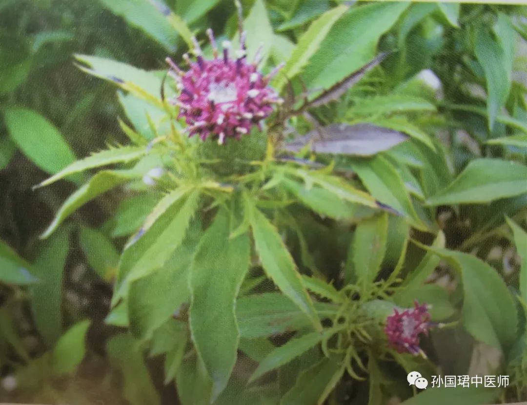 淌虚汗是哪里虚,心脾两虚出虚汗