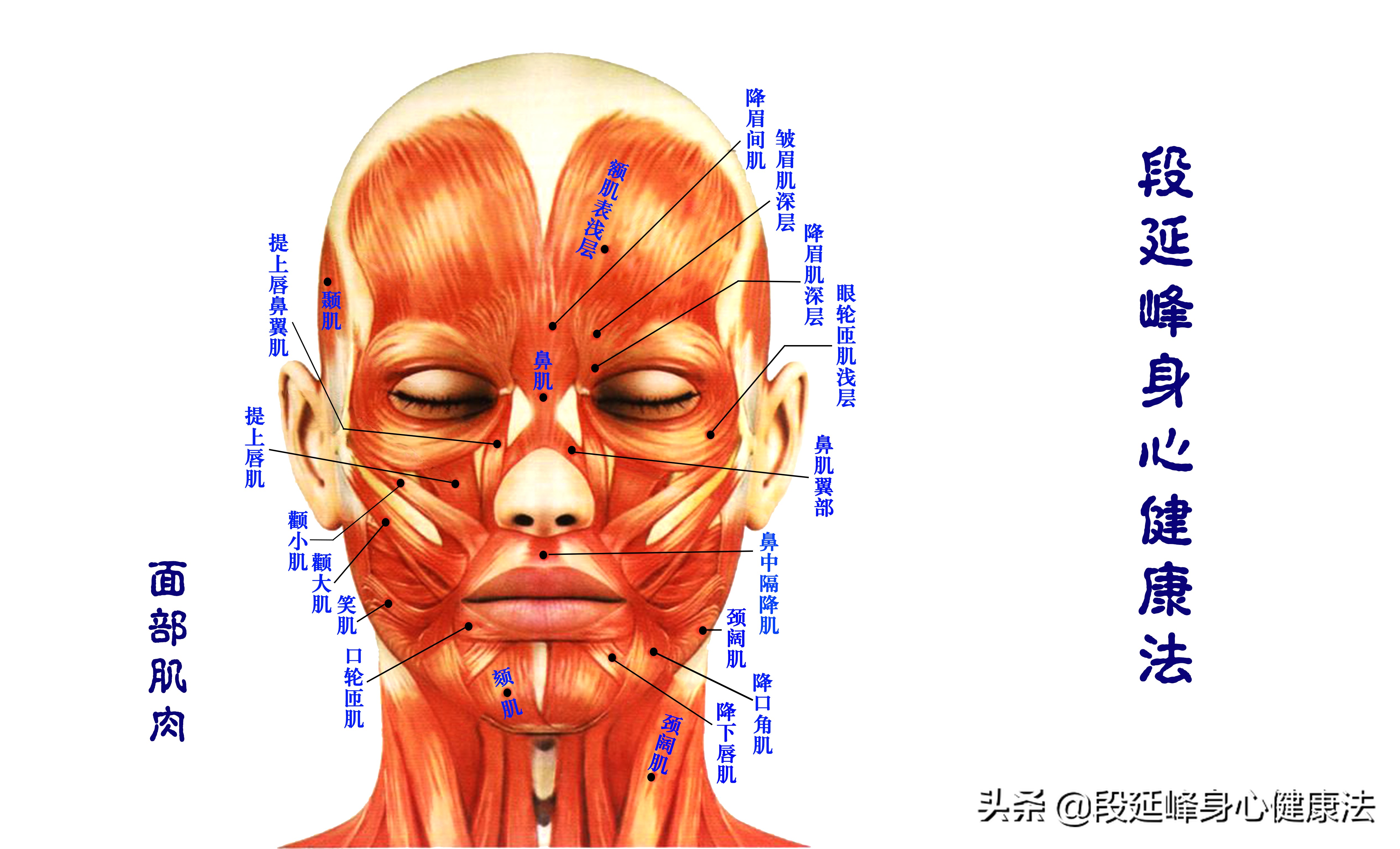严重黑眼圈可以逆转吗,延峰治疗黑眼圈