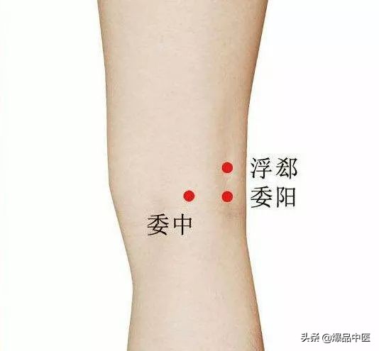 中医针灸睾丸坠痛特效穴,消除疼痛十大特效穴图解