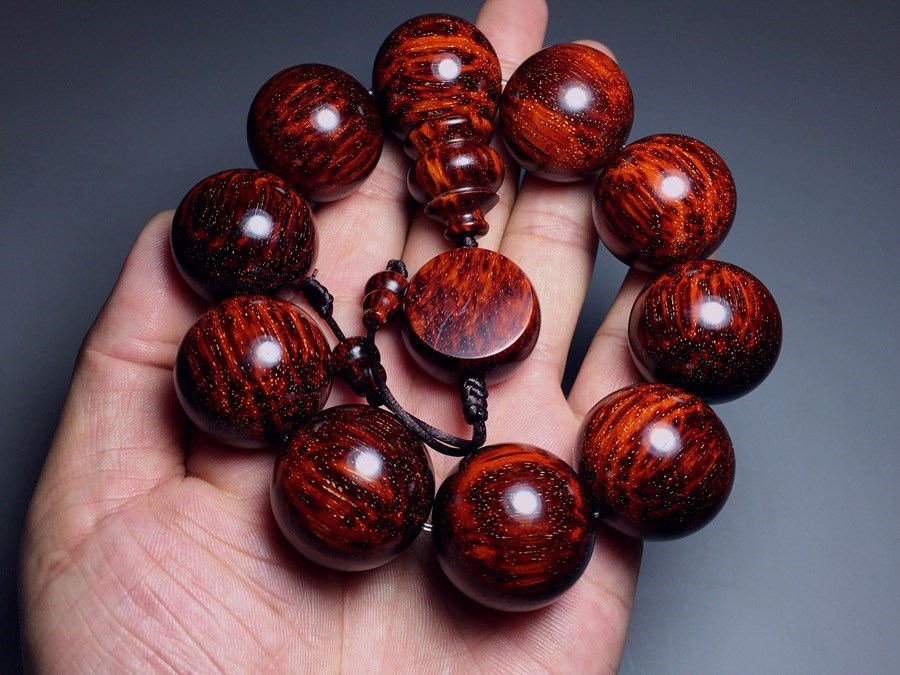 印度小叶紫檀森林视频,印度小叶紫檀秒懂百科