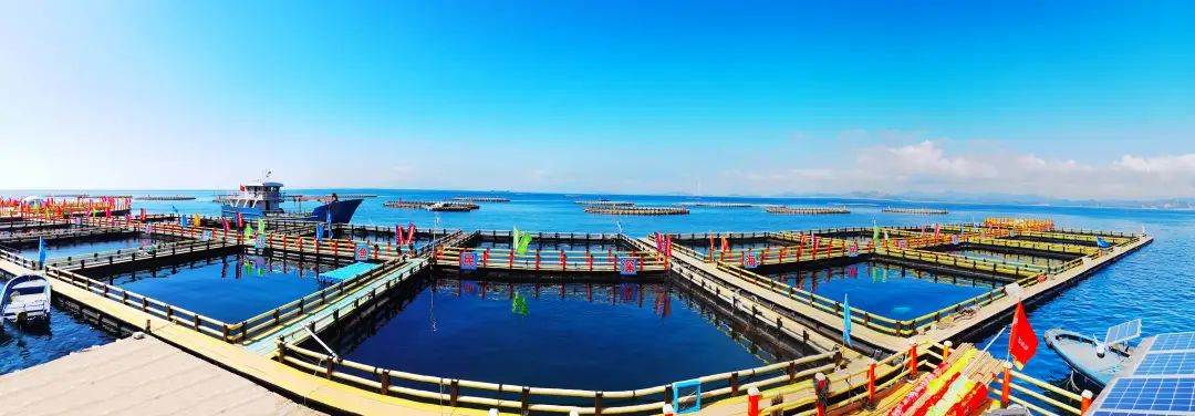 惠州一知名景区恢复开放,惠州这些场所有序恢复开放