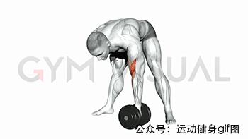 100张肌肉分解图,手臂肌肉的爆发力怎么练