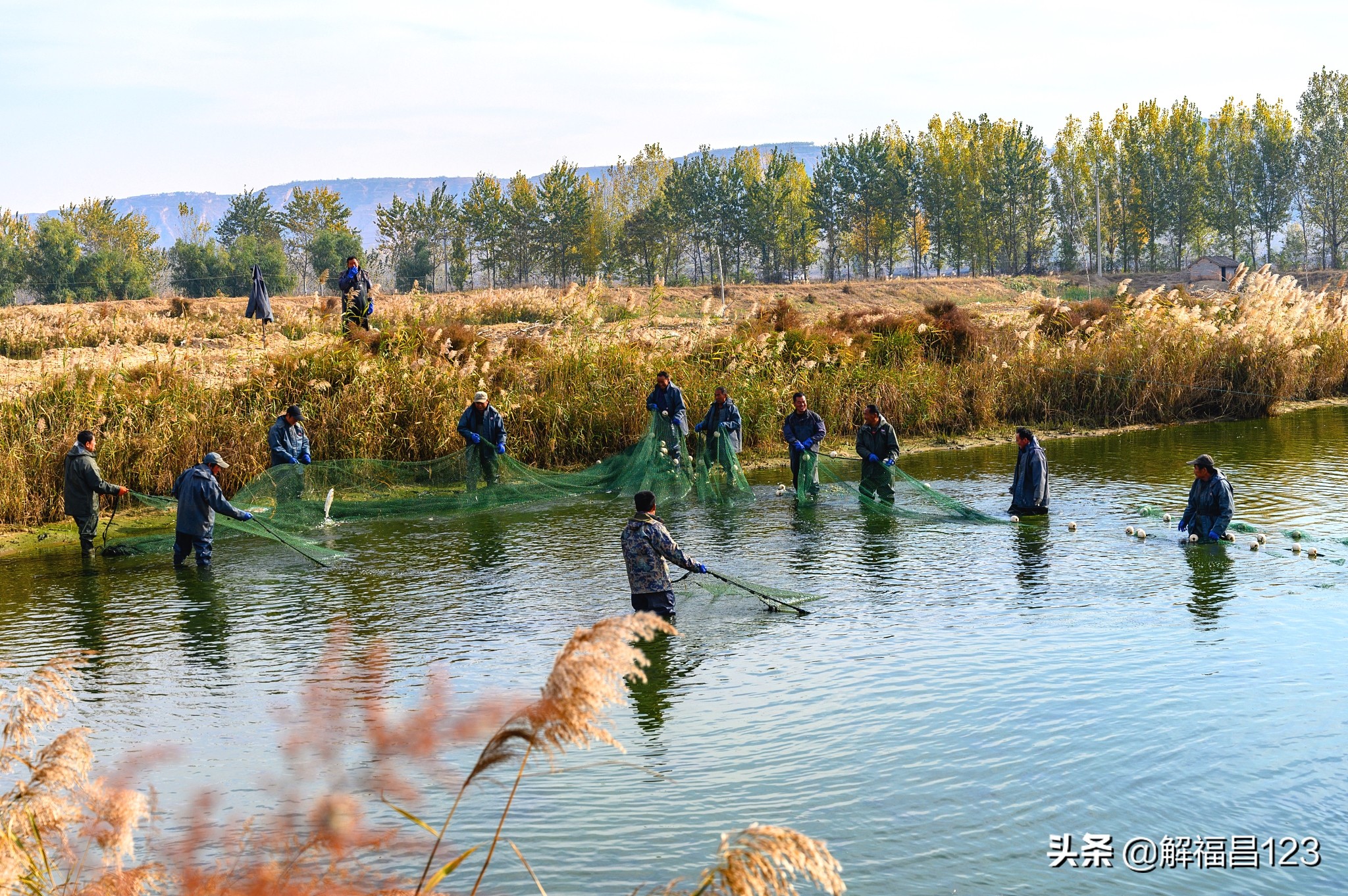 农村承包鱼塘养鱼一年能赚多少钱,5000亩的鱼塘养鱼一年能挣多少钱
