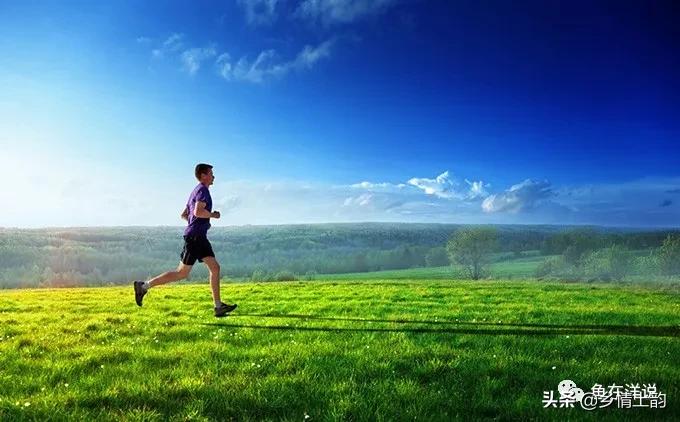 鱼在洋简介,鱼在洋原创动画