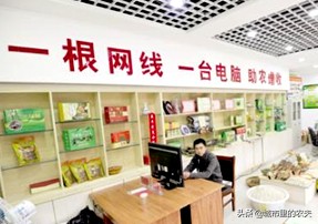 农村电商搭建综合服务平台,农村电商服务站如何聚集人气