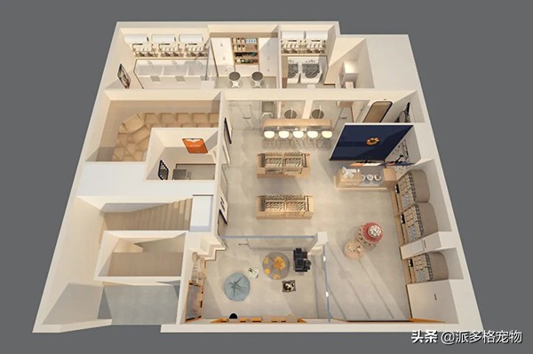 加盟派多格有人后悔吗,加盟派多格的真实经历