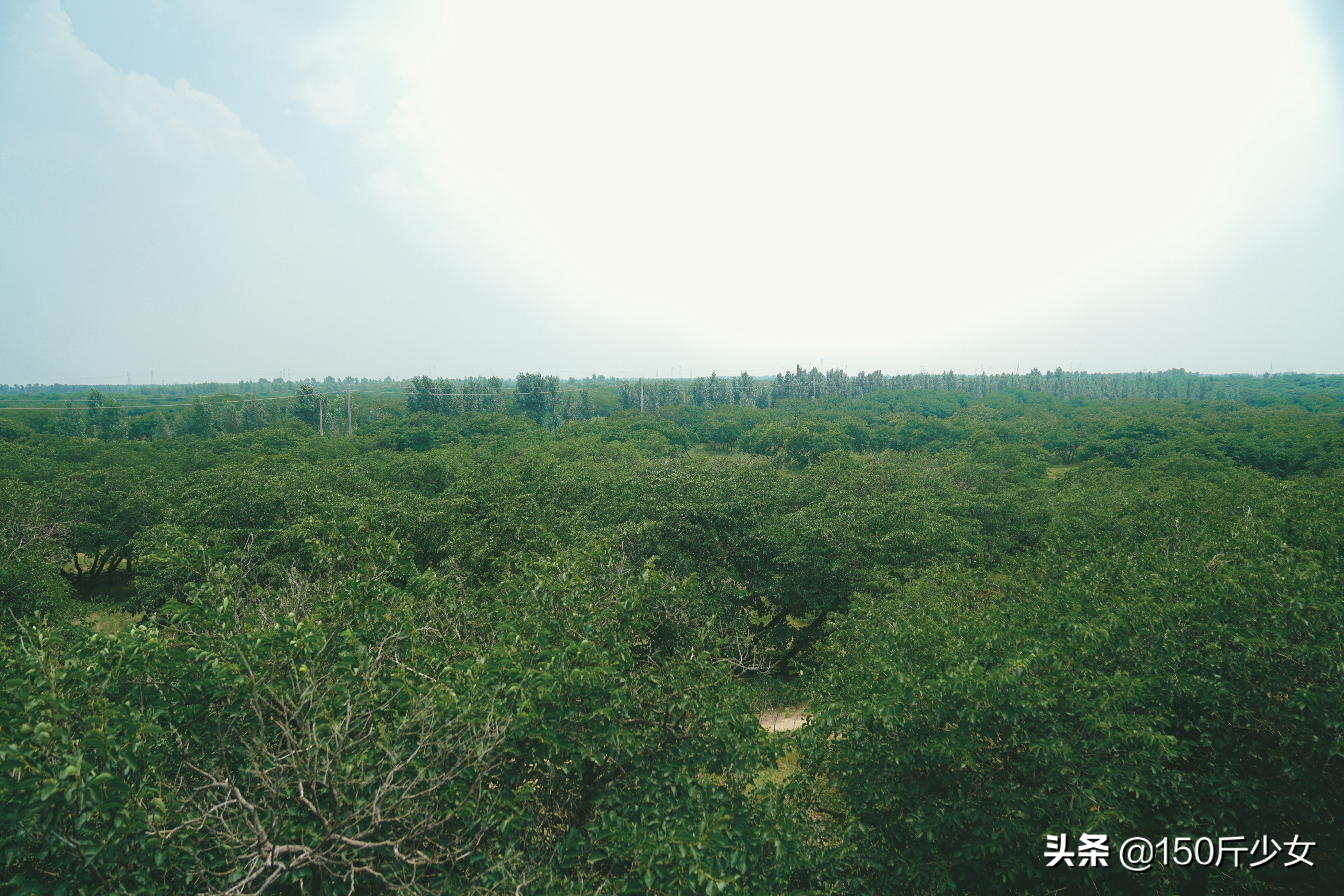 吉林旅游攻略自由行三天两晚住宿,吉林旅游自由行攻略图片大全