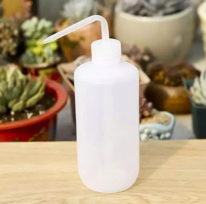 绿萝专用自吸花盆,绿萝吊兰怎么养才能长满花盆