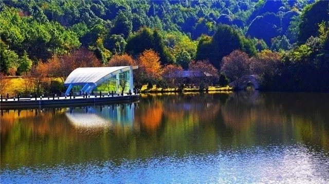 舌尖上的中国云南美食佤族,舌尖上的中国山西特产