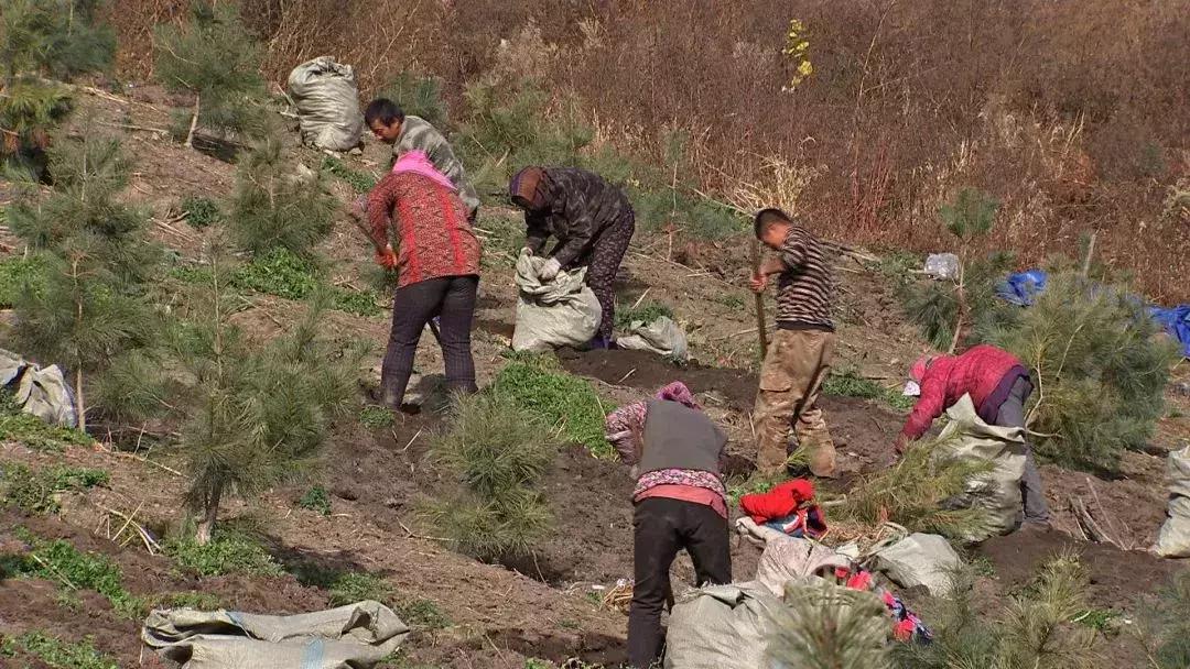 他用9年颠覆一个行业，获得千万财富的背后，竟是因为……