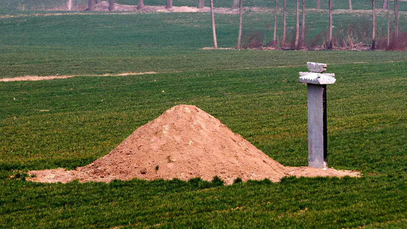 民间故事寡妇挖坟,民间俗语寡妇遇牛