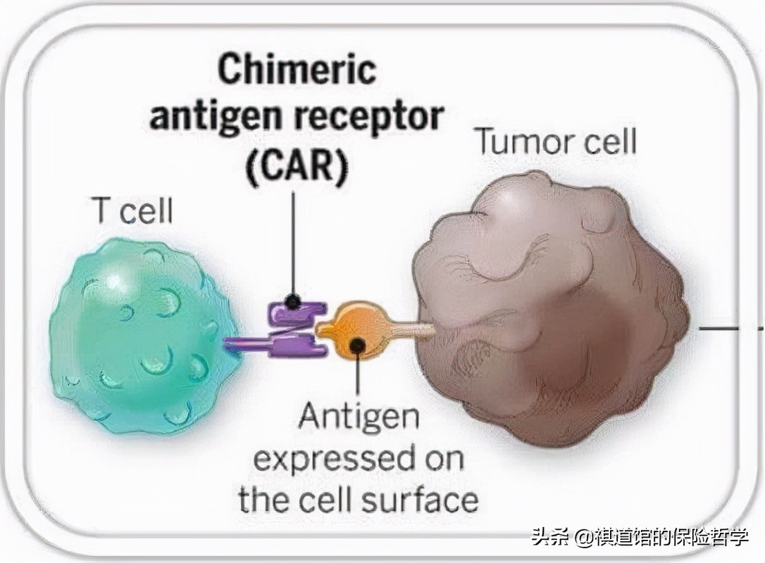 老年人大病险保费一年多少钱,老年人大病险要多少钱