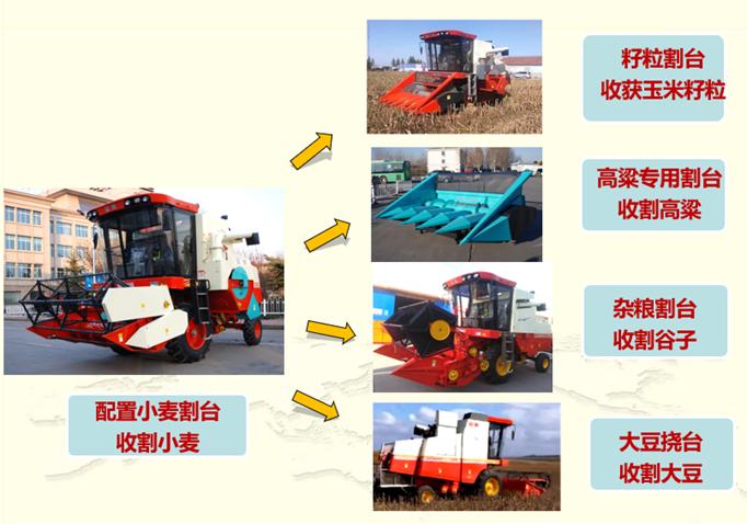 种粮大户的收粮神器,谷丰玉米收获机小型