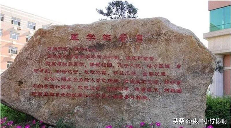长春中医药大学吉林省唯一一所中医药高等学府