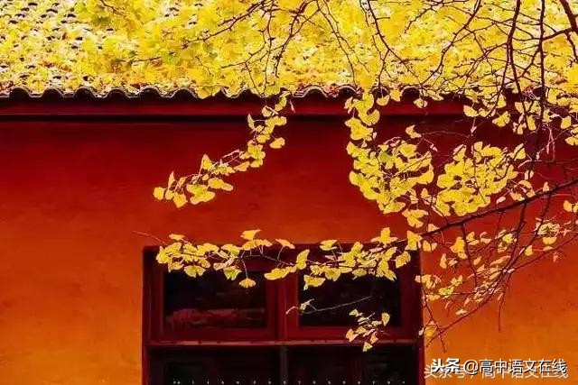 常考文言文翻译及重点知识归类,文言文阅读重点篇目