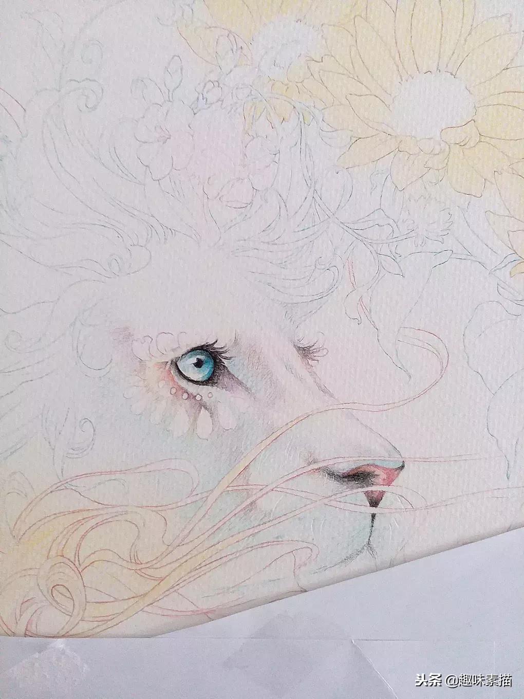 超精细彩铅人像素描,简单又漂亮的彩铅插画