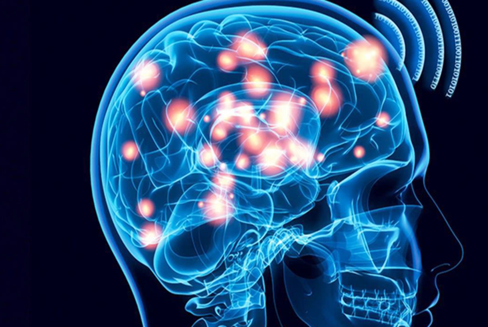 日本教育学家：婴儿大脑发育一年等于十年，一旦错过很难补救