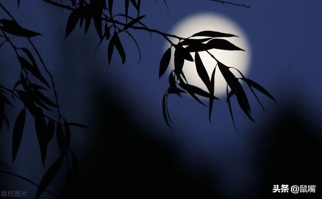 韩非子原文电子版,韩非子原文及解释