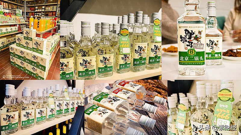 王宝强自己开公司,王宝强创业