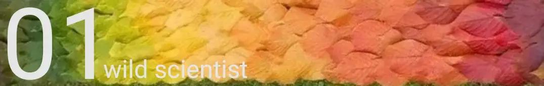 葱得了大葱锈病还能吃吗,葱黄锈病怕什么