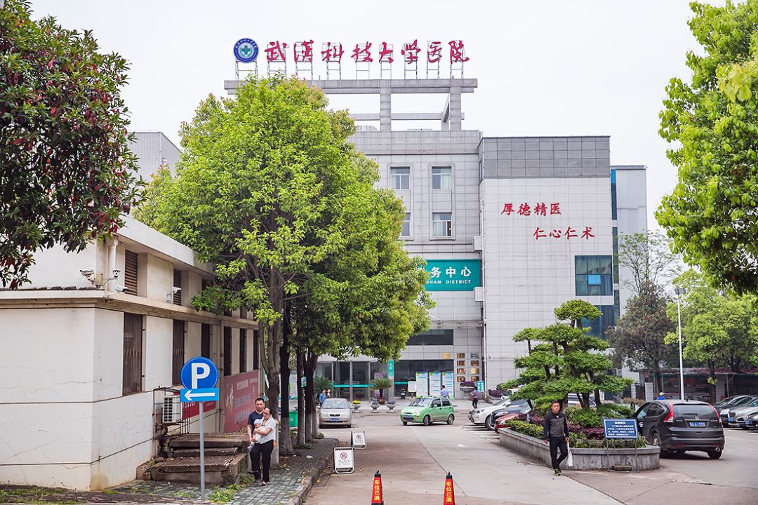 武科大最近消息,武科大最新信息