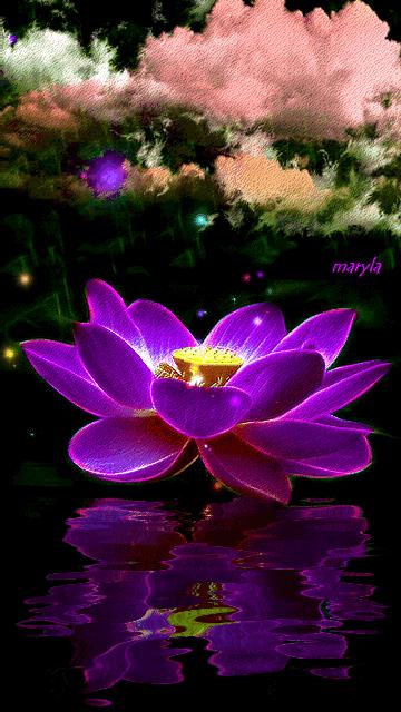 水中花郁可唯简谱动态谱,动态水中花歌词壁纸