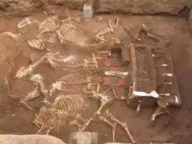 考古发掘的几个大墓,考古发掘古墓大学