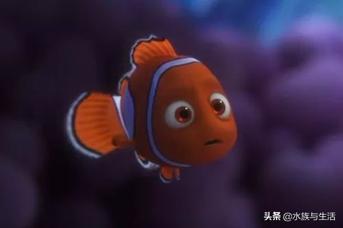 安纳塔汉女王真实身份,安纳塔汉岛女王多大了